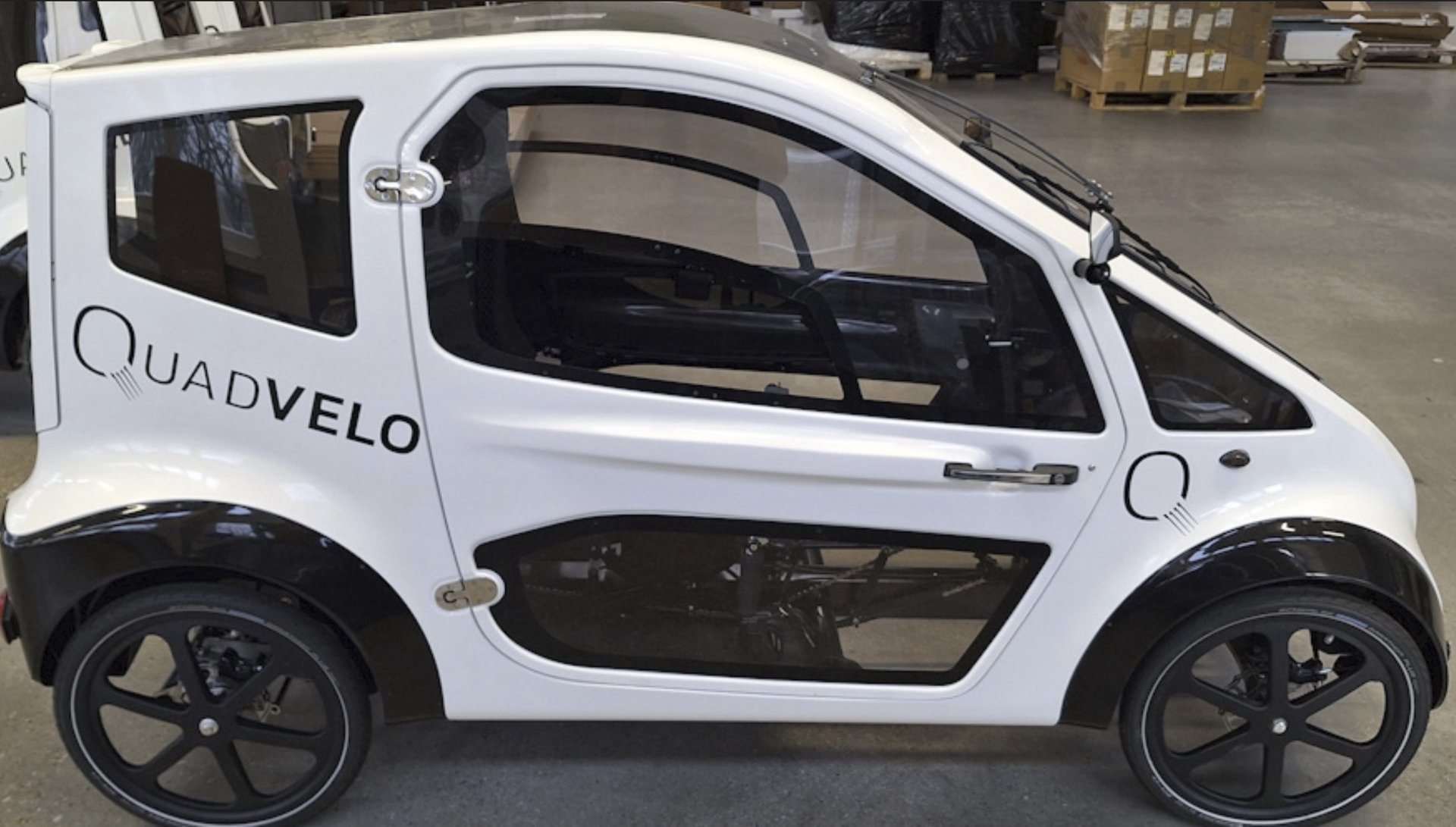 Quadvelo 2025